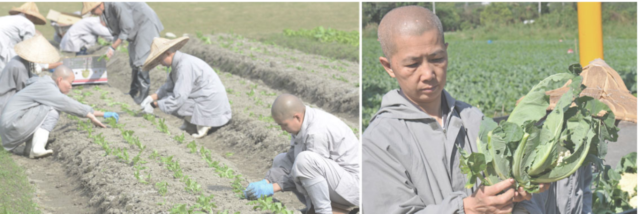 慈济慈善师父
