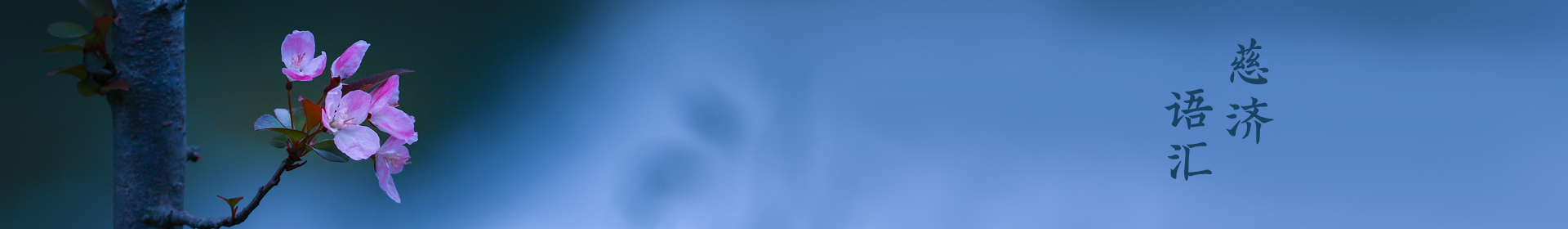 慈济语汇
